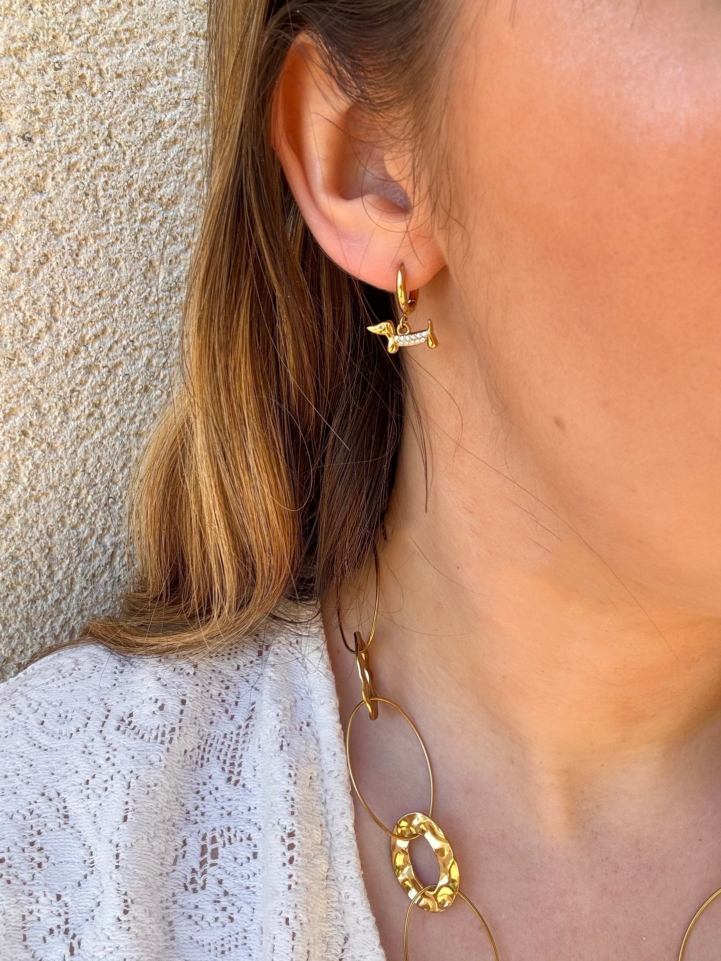 Boucles d'oreilles teckel