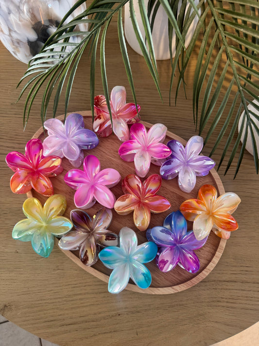Pince cheveux fleur colorée